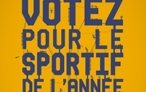 LES SPORTIFS DE L'ANNEE 2013
