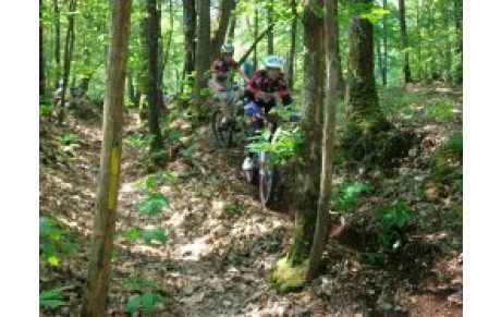 MANCHE DU  TRJV A COSSE LE VIVIEN 