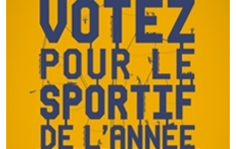 LES SPORTIFS DE L'ANNEE 2013
