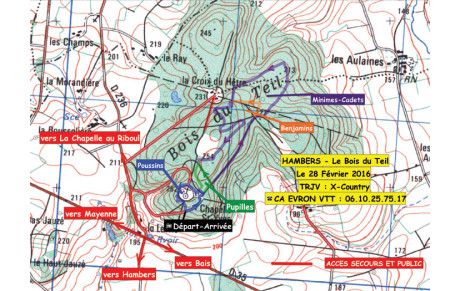 TRJV A HAMBERS le Bois du Tay