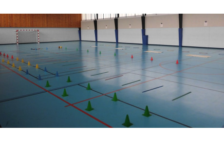 STAGE 53 SANS VELO BASE SUR LA PREPARATION PHYSIQUE GENERALE LE JEUDI 25 OCTOBRE 2018